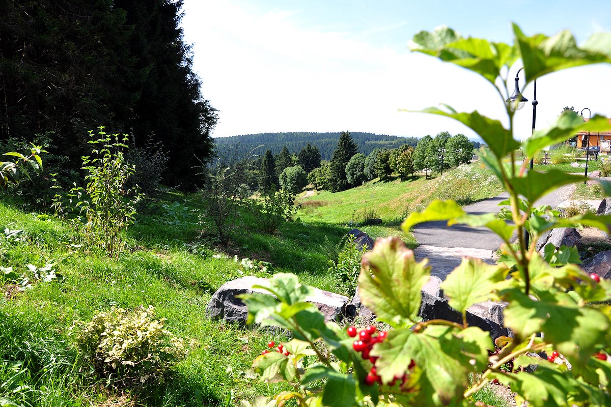 Feriendorf Auenland - Waffenrod-Hinterrod - Thüringen